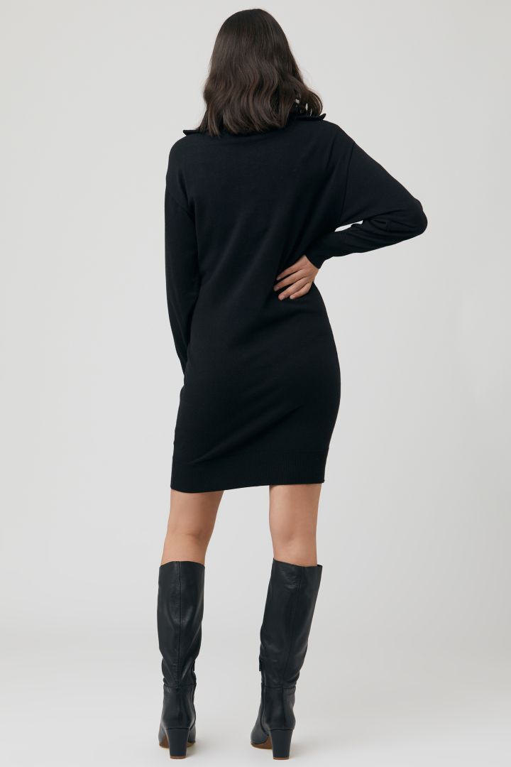 Troyer Maternity and Nursing Dress