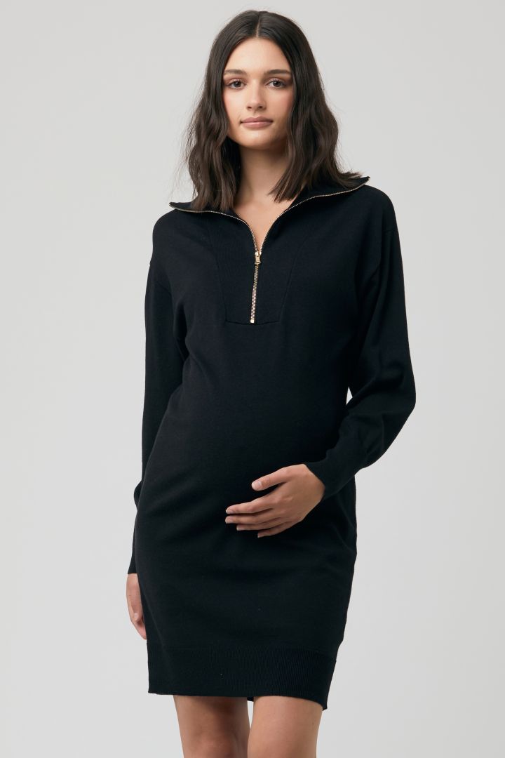 Troyer Maternity and Nursing Dress