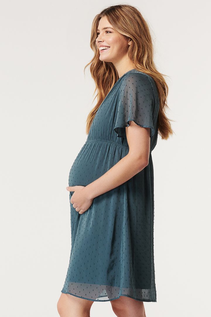 Maternity and Nursing Dress with Cap Sleeves