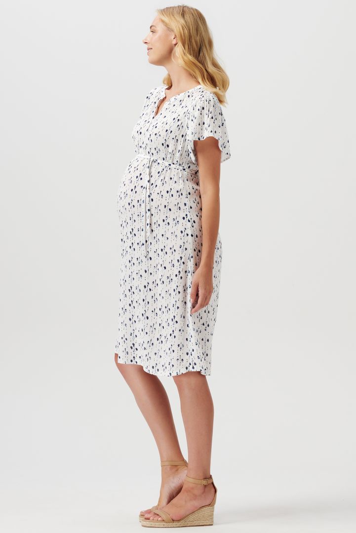 Maternity and Nursing Dress print