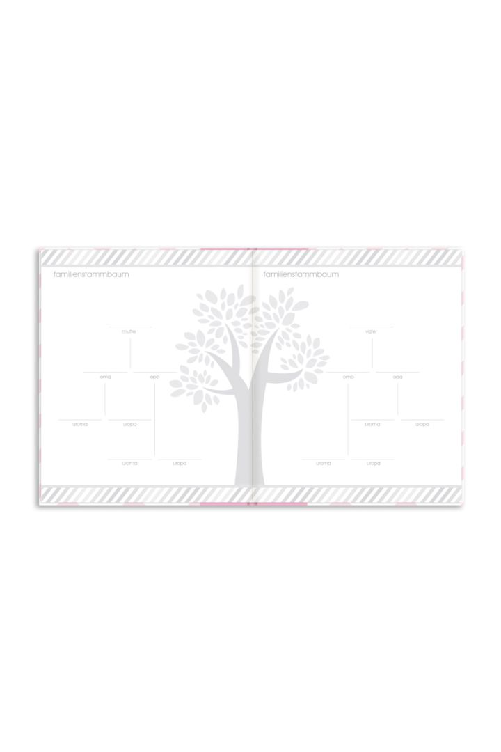 Memory Book with Photo Bag and Baby Imprint Set pink