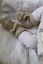Vorschau: Organic Baby Strickschuhe khaki light