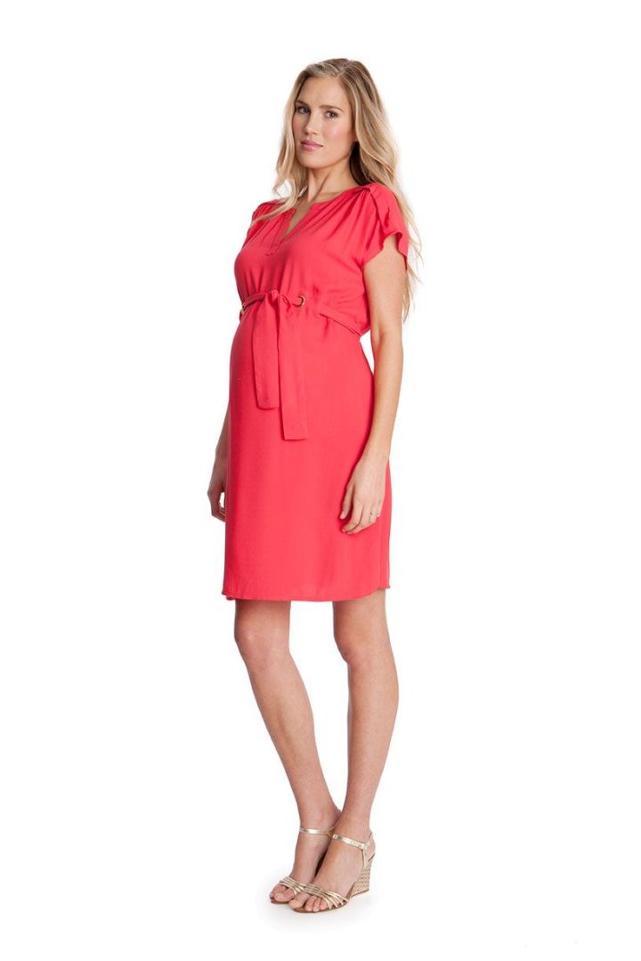 Maternity Dress with V-neck