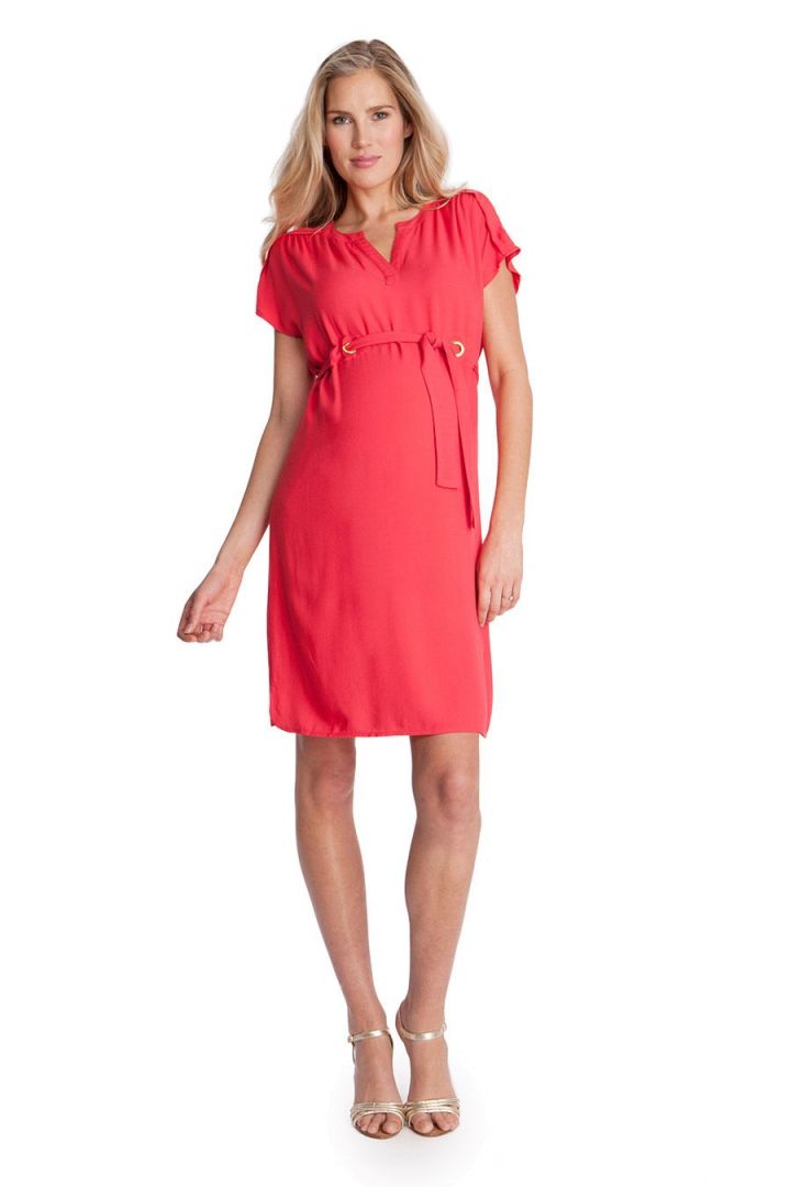 Maternity Dress with V-neck