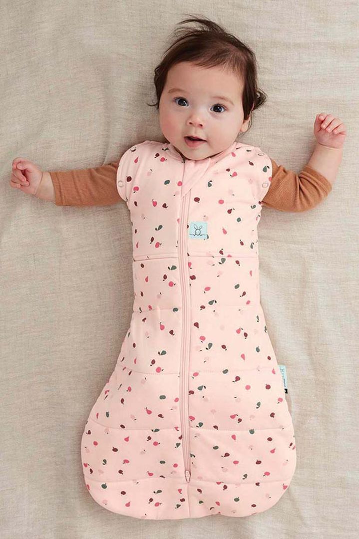 Organic Schlaf- und Pucksack Cute Fruit 2,5 TOG